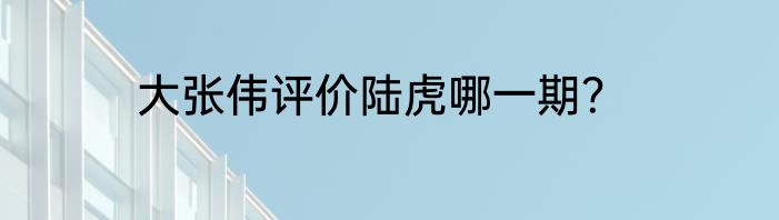 大张伟评价陆虎哪一期？