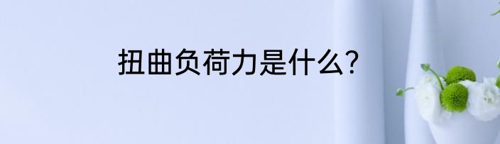 扭曲负荷力是什么？