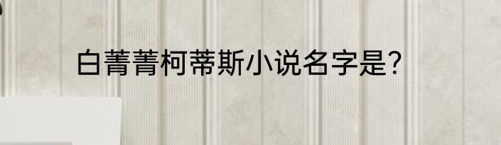 白菁菁柯蒂斯小说名字是？