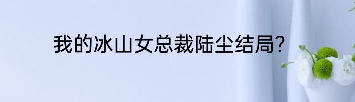 我的冰山女总裁陆尘结局?