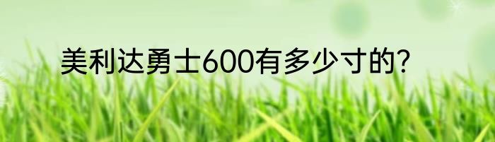 美利达勇士600有多少寸的？