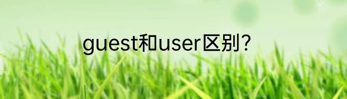 guest和user区别？