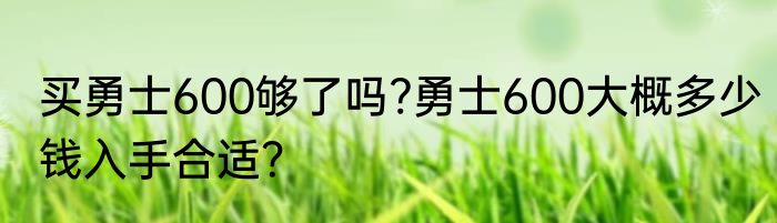 买勇士600够了吗?勇士600大概多少钱入手合适？
