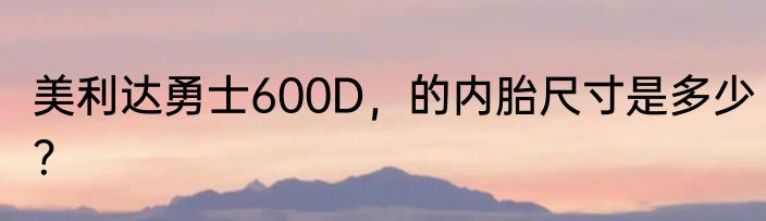 美利达勇士600D，的内胎尺寸是多少？