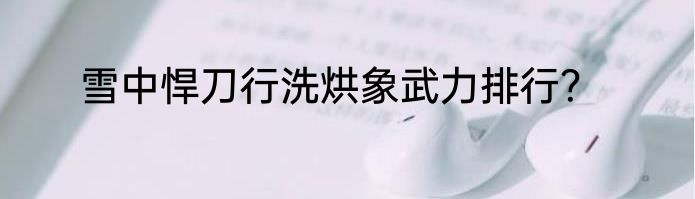 雪中悍刀行洗烘象武力排行？