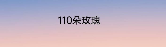 110朵玫瑰