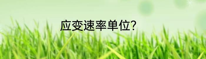 应变速率单位？