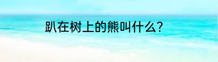 趴在树上的熊叫什么？