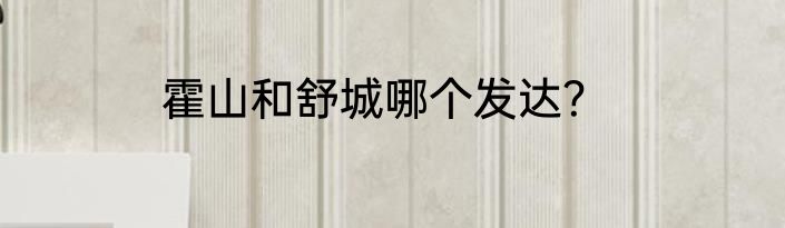 霍山和舒城哪个发达？