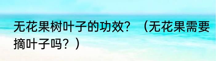 无花果树叶子的功效？（无花果需要摘叶子吗？）