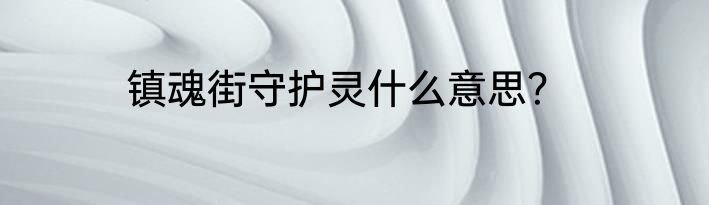 镇魂街守护灵什么意思？