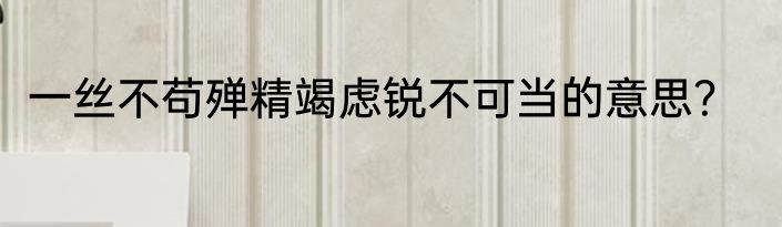 一丝不苟殚精竭虑锐不可当的意思？
