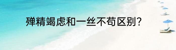 殚精竭虑和一丝不苟区别？