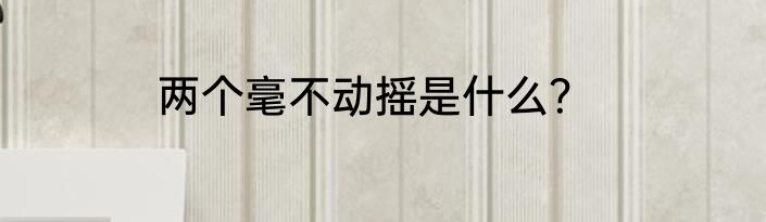 两个毫不动摇是什么？