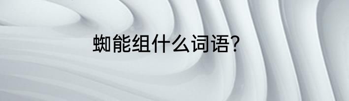 蜘能组什么词语？