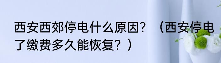 西安西郊停电什么原因？（西安停电了缴费多久能恢复？）