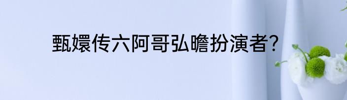 甄嬛传六阿哥弘曕扮演者？