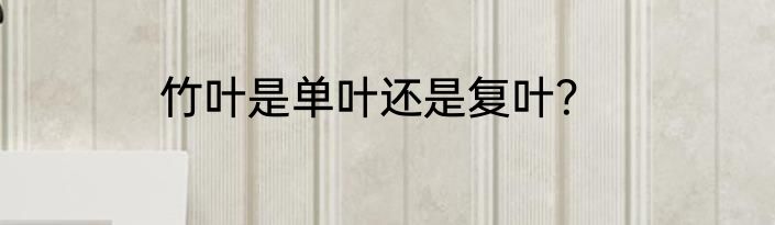 竹叶是单叶还是复叶？