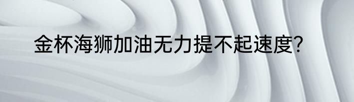 金杯海狮加油无力提不起速度？