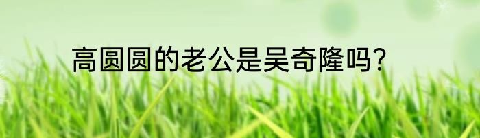 高圆圆的老公是吴奇隆吗？