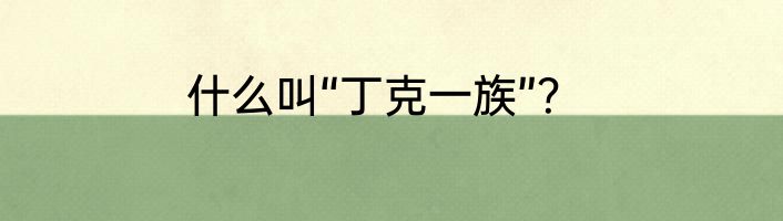 什么叫“丁克一族”？