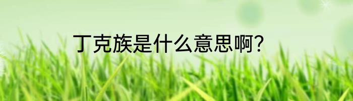 丁克族是什么意思啊？