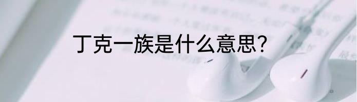 丁克一族是什么意思？