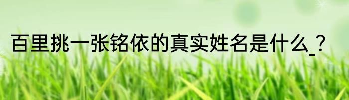百里挑一张铭依的真实姓名是什么_？