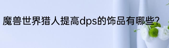 魔兽世界猎人提高dps的饰品有哪些？