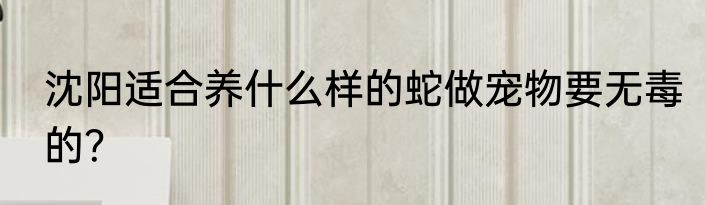沈阳适合养什么样的蛇做宠物要无毒的？