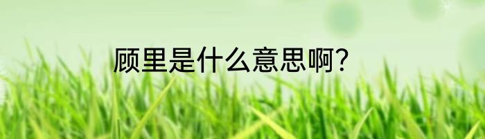 顾里是什么意思啊？