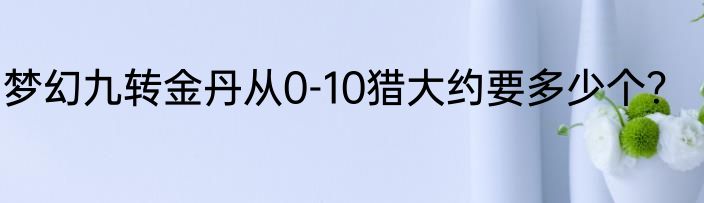 梦幻九转金丹从0-10猎大约要多少个？