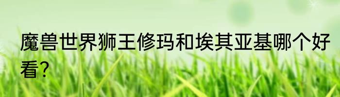 魔兽世界狮王修玛和埃其亚基哪个好看？