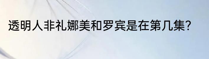 透明人非礼娜美和罗宾是在第几集？