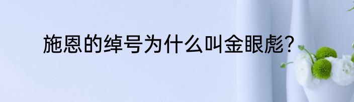 施恩的绰号为什么叫金眼彪？