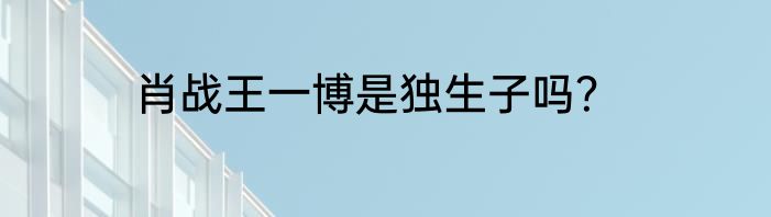 肖战王一博是独生子吗？