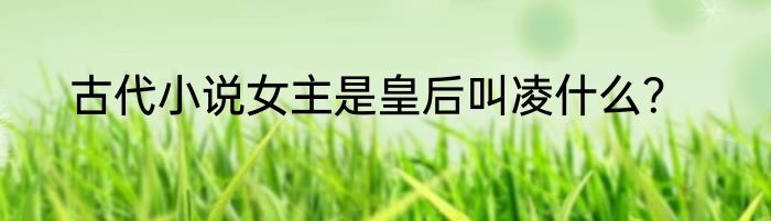 古代小说女主是皇后叫凌什么？