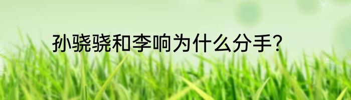 孙骁骁和李响为什么分手？