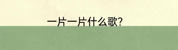 一片一片什么歌？