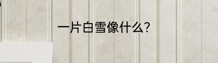一片白雪像什么？