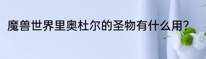 魔兽世界里奥杜尔的圣物有什么用？