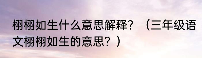 栩栩如生什么意思解释？（三年级语文栩栩如生的意思？）