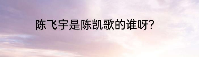陈飞宇是陈凯歌的谁呀？