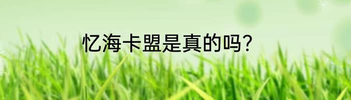 忆海卡盟是真的吗？