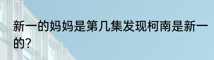 新一的妈妈是第几集发现柯南是新一的？