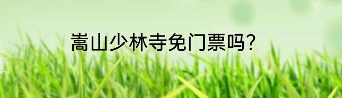 嵩山少林寺免门票吗？