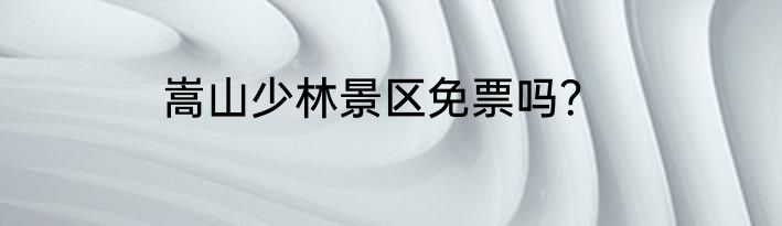 嵩山少林景区免票吗？