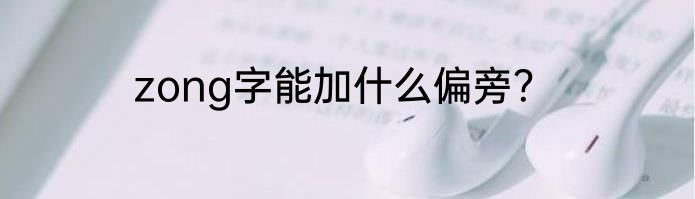 zong字能加什么偏旁？