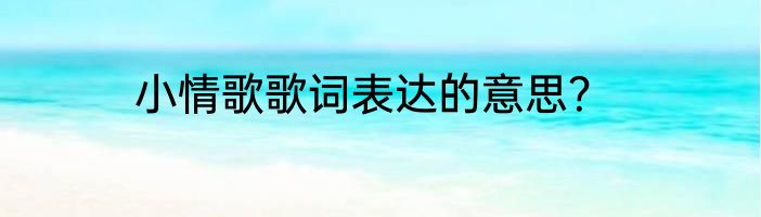 小情歌歌词表达的意思？