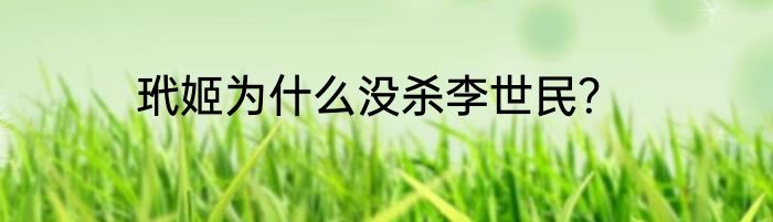 玳姬为什么没杀李世民？